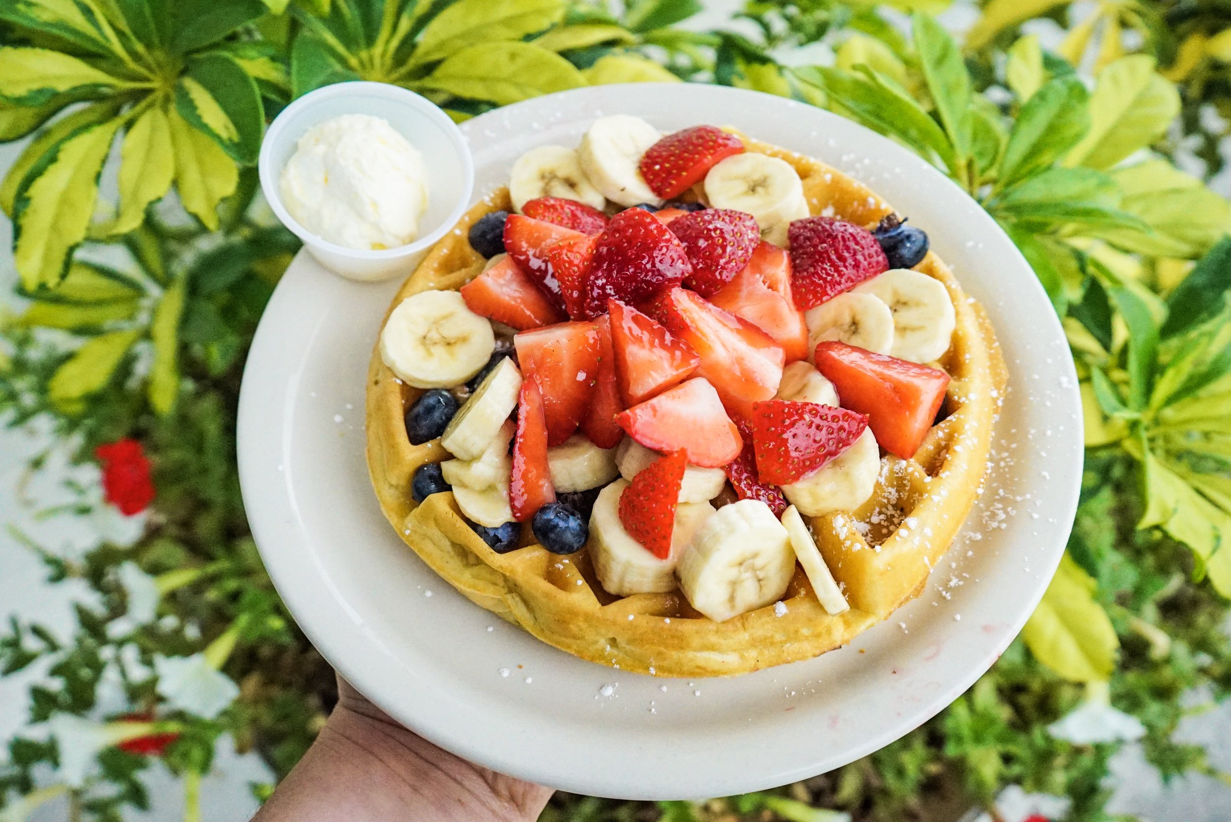 29 Best Orlando Brunch Spots : The Ultimate Brunch Guide - Emmi_gg